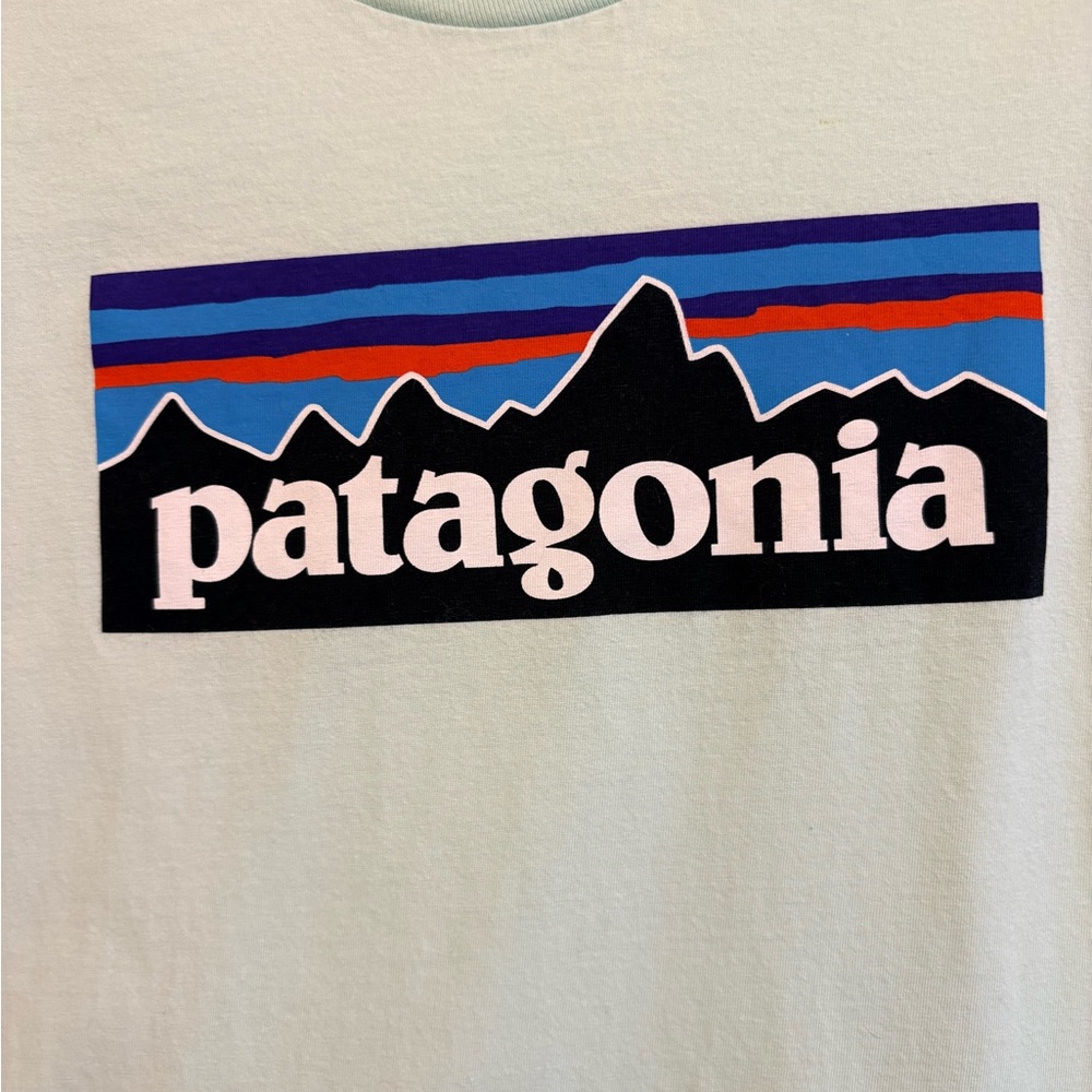 Patagonia Kids Youth XL 14 Graphic T Shirt Organic Cotton Light Green - Picture 4 of 11